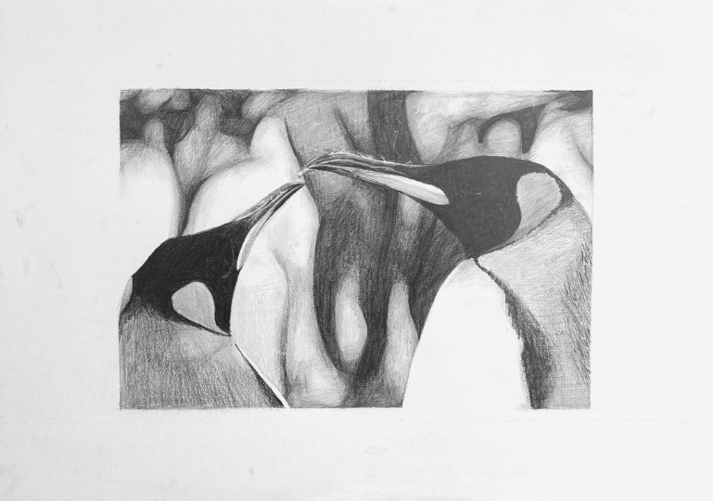 中学生美術科3年生の写真模写の作品
